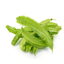 4 Angled Bean 四角豆 300g