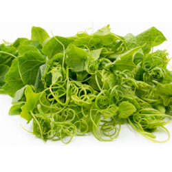 Chayote Leave 龙须菜 300g