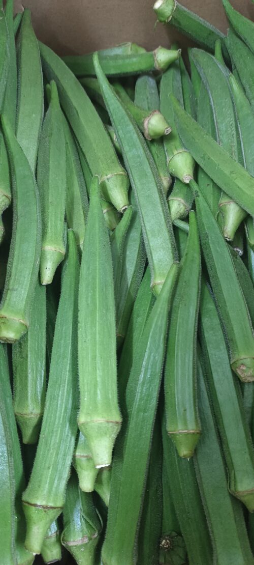 Lady finger 羊角豆 250g - Image 2
