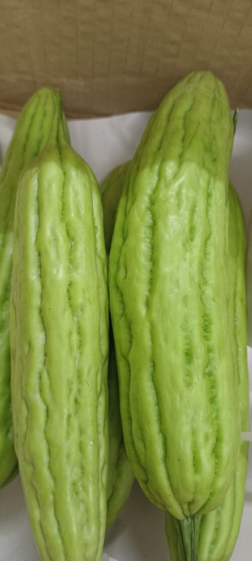 Bitter Gourd 苦瓜 300g - Image 2