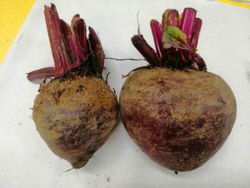 Beetroot 甜菜根 300g
