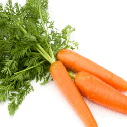 Carrot 红萝卜 300g