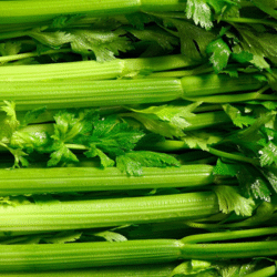 Celery 芹菜 300g