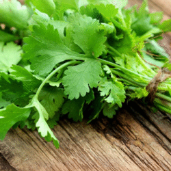 Coriander 香菜 100g