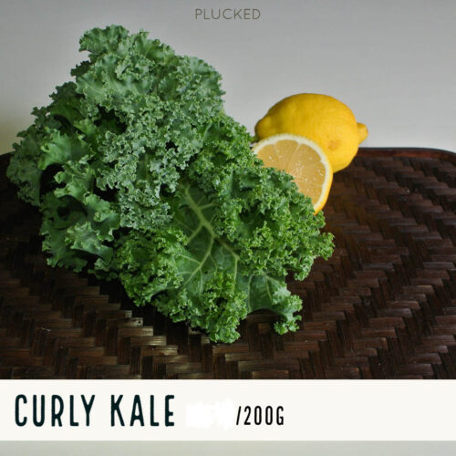 Curly Kale 羽衣甘蓝 200g - Image 2