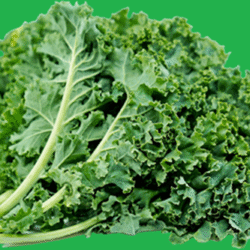 Curly Kale 羽衣甘蓝 200g