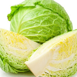 English Cabbage 包菜1kg
