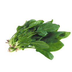 English Spinach 菠菜 300g