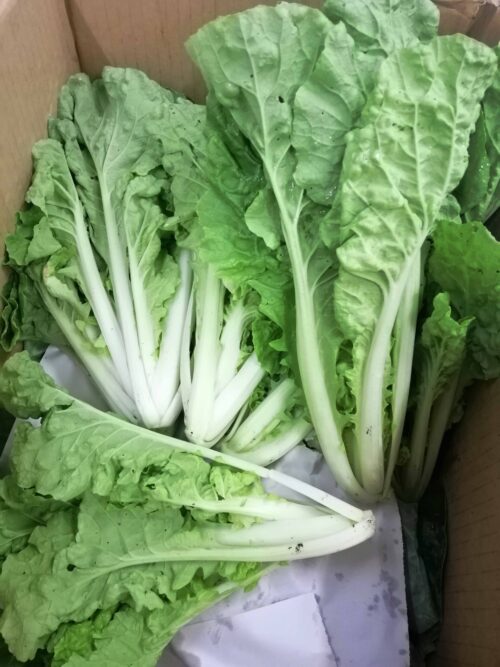 Sayur Keriting 皱叶菜 300g