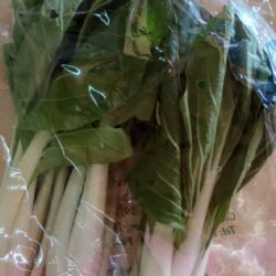 King Pak 京白菜 300g
