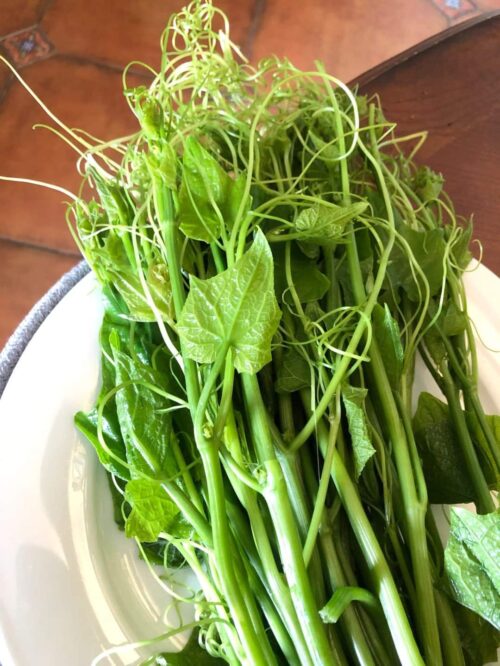 Chayote Leave 龙须菜 300g - Image 2