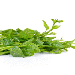 Nz Spinach 帝黄苗 300g