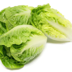 Mini Cos Lettuce 迷你罗马生菜 300g