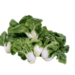 Nai Pak奶白菜 300g