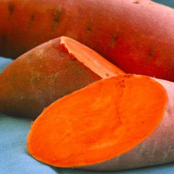 Orange sweet potato 黄肉番薯 1kg