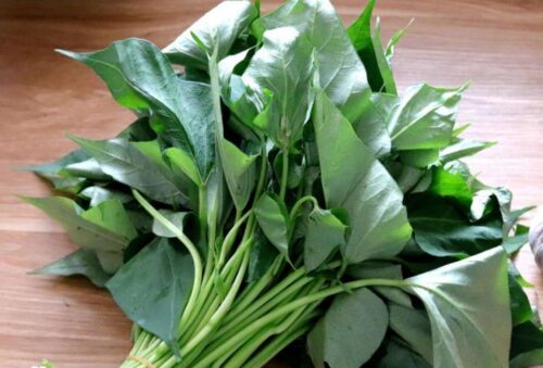Cameron Sweet Potato Leave 金马伦番薯叶 300g - Image 2