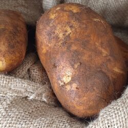 Potato White 马铃薯 400g