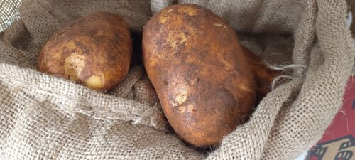 Potato White 马铃薯 400g