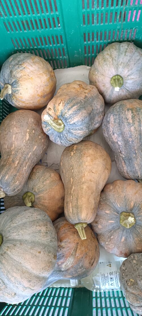 Pumpkin 南瓜 1kg - Image 2