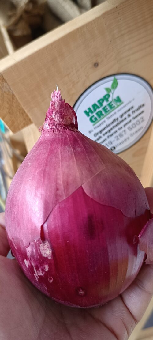 Red Onion 红洋葱 300g - Image 2