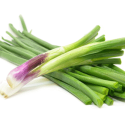 Spring Onion 青葱 200g
