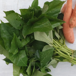 Sweet Potato Leave 番薯叶 300g