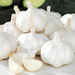 White Garlic 白蒜 100g