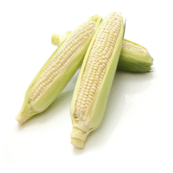 White Sweet Corn 白玉米 1pc