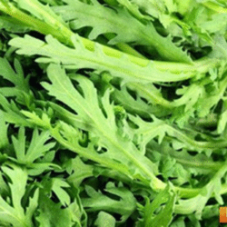 Wild tong Ho 山茼蒿 300g