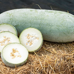 Winter Melon 冬瓜 1kg