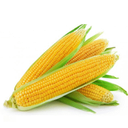 Yellow Sweet Corn 黄玉米 400g