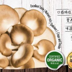 Organic Pearl Mushroom 秀珍菇 200g