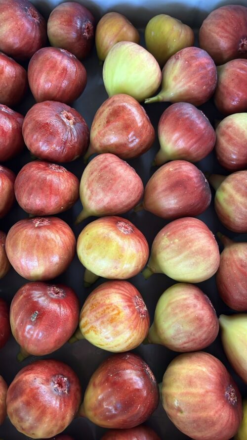 Organic Fig 无花果 6pcs