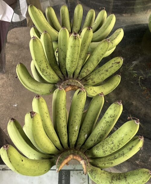 Banana Berangan 香蕉 1kg