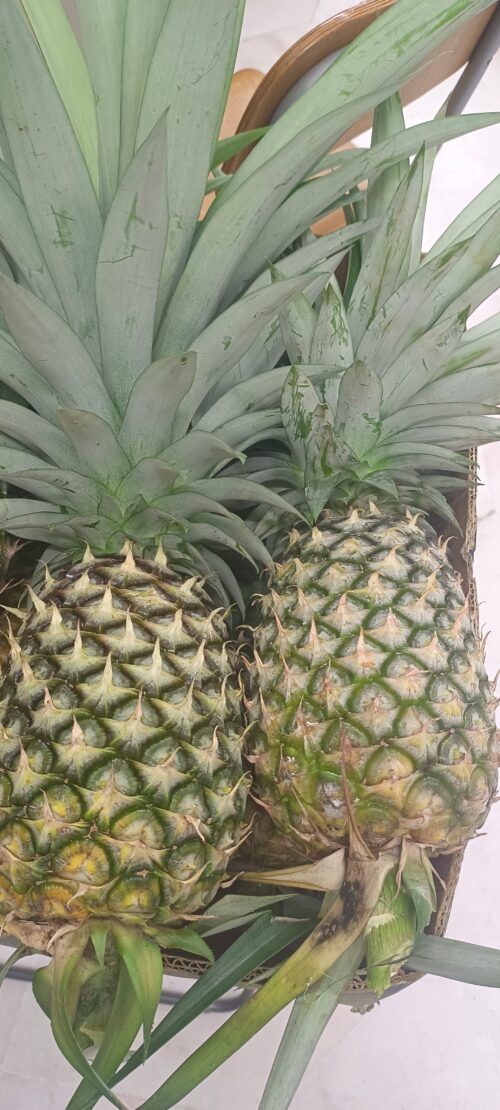 Organic Sarawak Pineapple 1kg