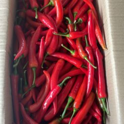 Red Chili Big 红辣椒 100g