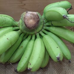 Banana Emas 香蕉 1kg