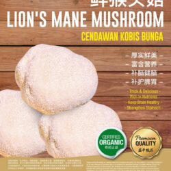 Organic Fresh Lion Mane Mushroom 猴头菇 200g