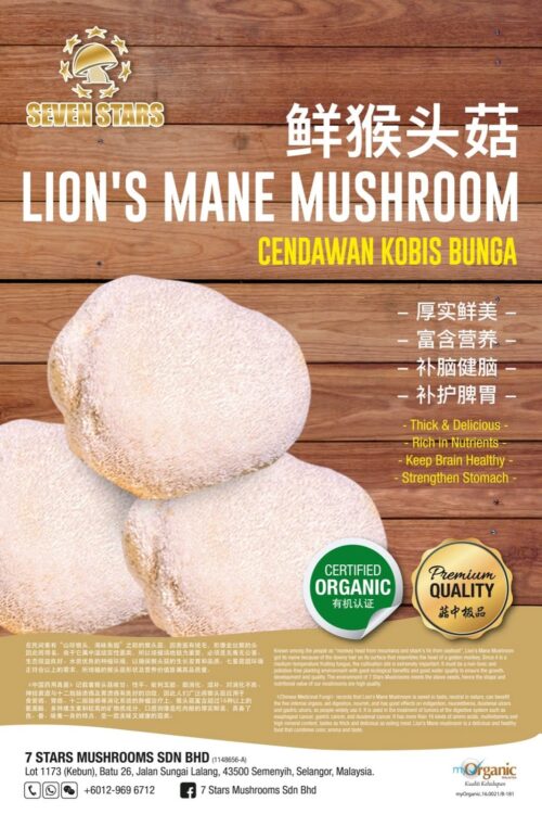Organic Fresh Lion Mane Mushroom 猴头菇 200g