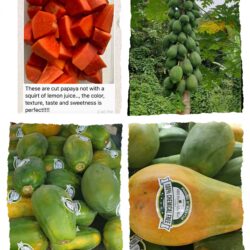 Organic papaya 木瓜 1kg