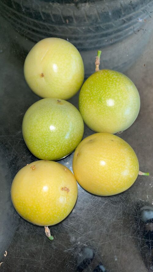 Organic Passion Fruit 百香果 500g - Image 2