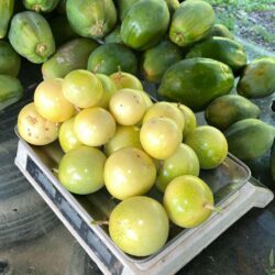 Organic Passion Fruit 百香果 500g