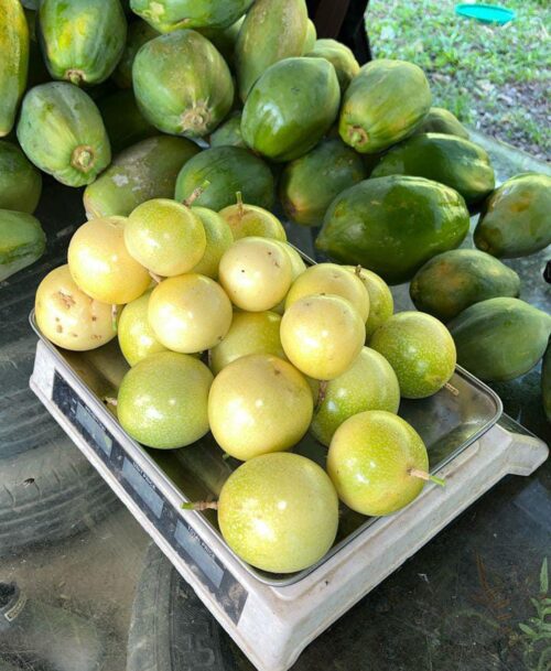 Organic Passion Fruit 百香果 500g