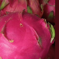 Organic Red Dragon Fruit 1kg