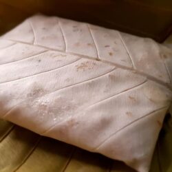 Organic Soybean Tempeh 黄豆天贝 100g