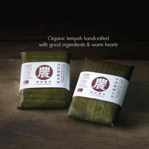 Organic Soybean Tempeh 黄豆天贝 100g - Image 2