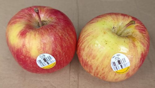 Organic Red Fuji Apple 2pcs