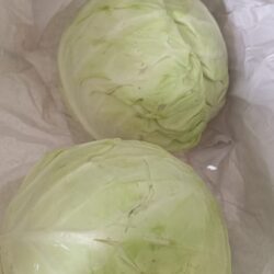 Sweet Cabbage甜包菜 1kg