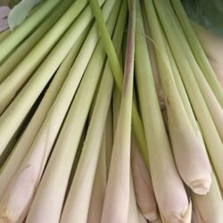 LemonGrass (Serai) 香茅 200g
